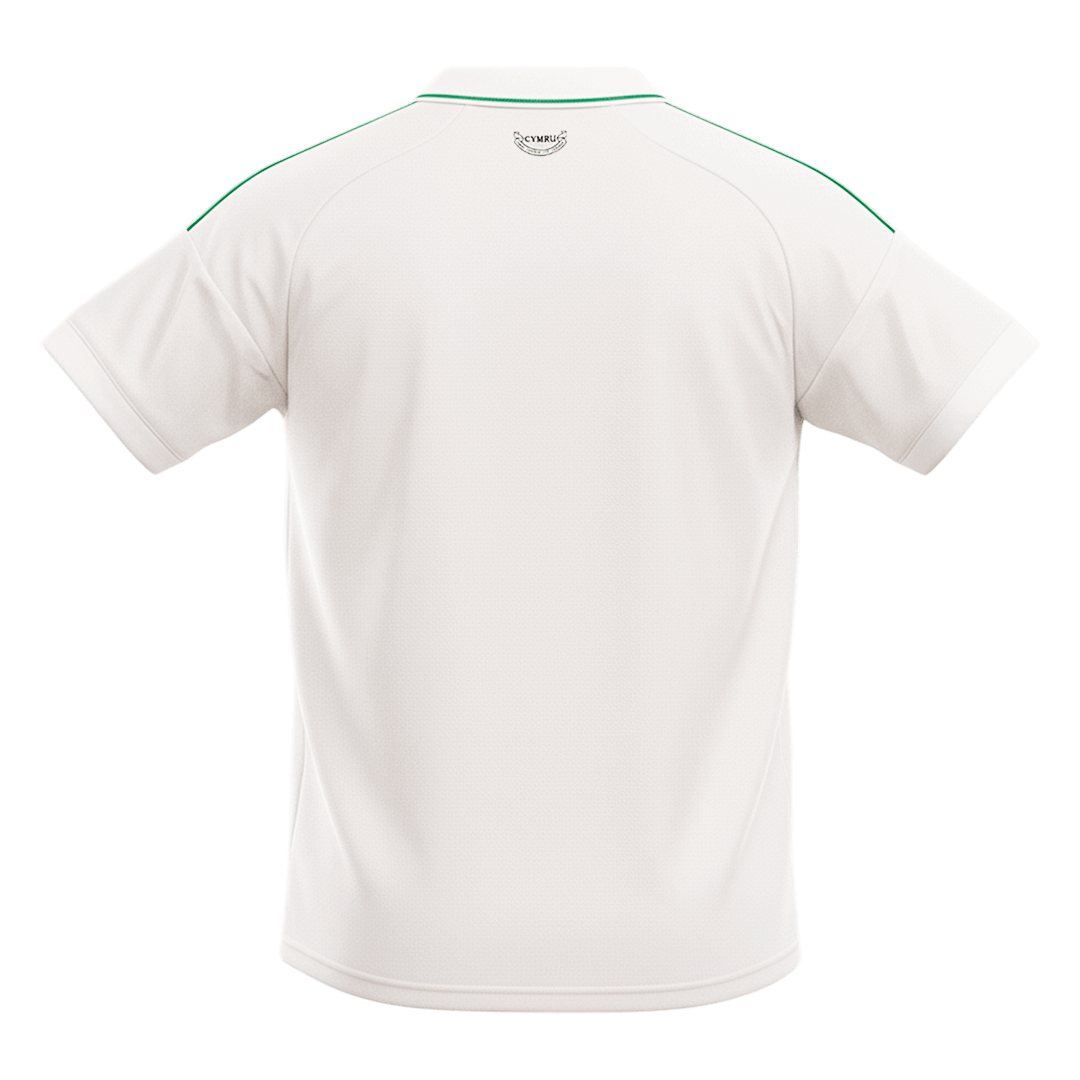 Maglia Replica Galles Trasferta Uomo 2026