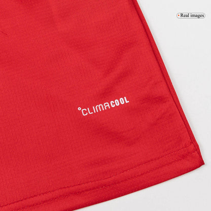 Maglia Replica Galles Casa Uomo 2026